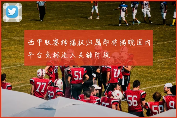 西甲联赛转播权归属即将揭晓国内平台竞标进入关键阶段