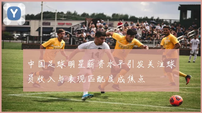 中国足球明星薪资水平引发关注球员收入与表现匹配度成焦点