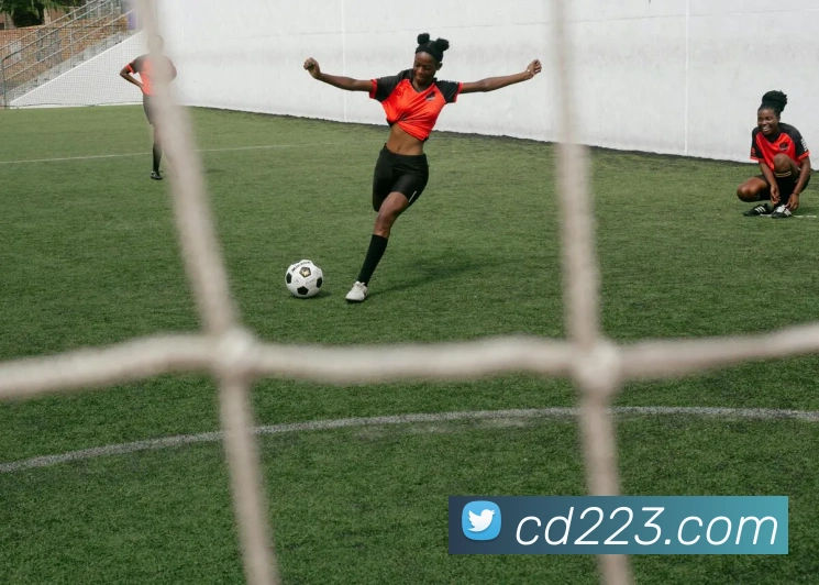 安博app登录入口网页版品牌故事